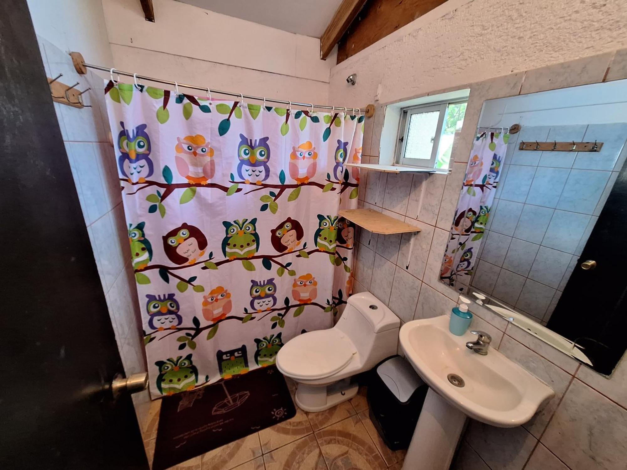 Cabanas Puna Poho Hanga Roa Dış mekan fotoğraf